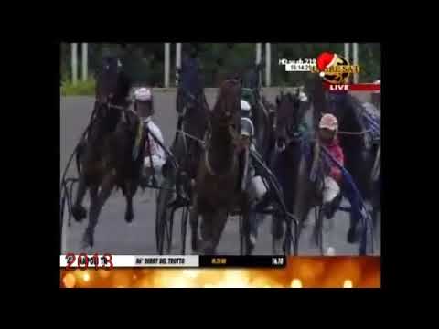 DERBY DEL TROTTO 2013 ROBERT BI