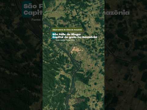 São Félix do Xingu: Capital do gado na Amazônia | Observatório do Clima da Amazônia