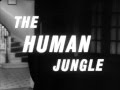 Human Jungle TV Theme John Barry Orchestra 1963