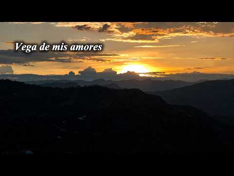 Vega de mis Amores