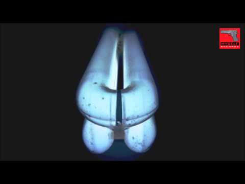 The Thin Line | 31 / 05 / 2015 (Original Song)