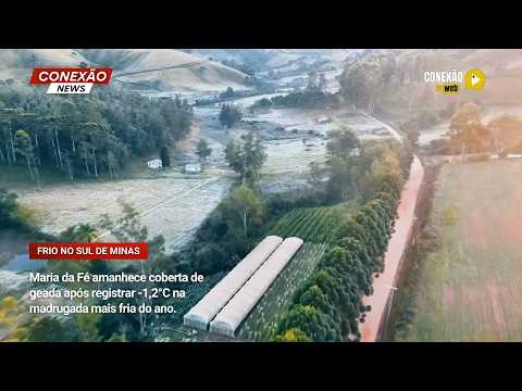 Maria da Fé amanhece coberta de geada após registrar -1,2°C na madrugada mais fria do ano.