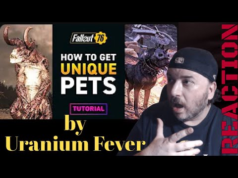 UNIQUE PETS for your CAMP – Fallout 76 Tutorial by @UraniumFever76 Reaction