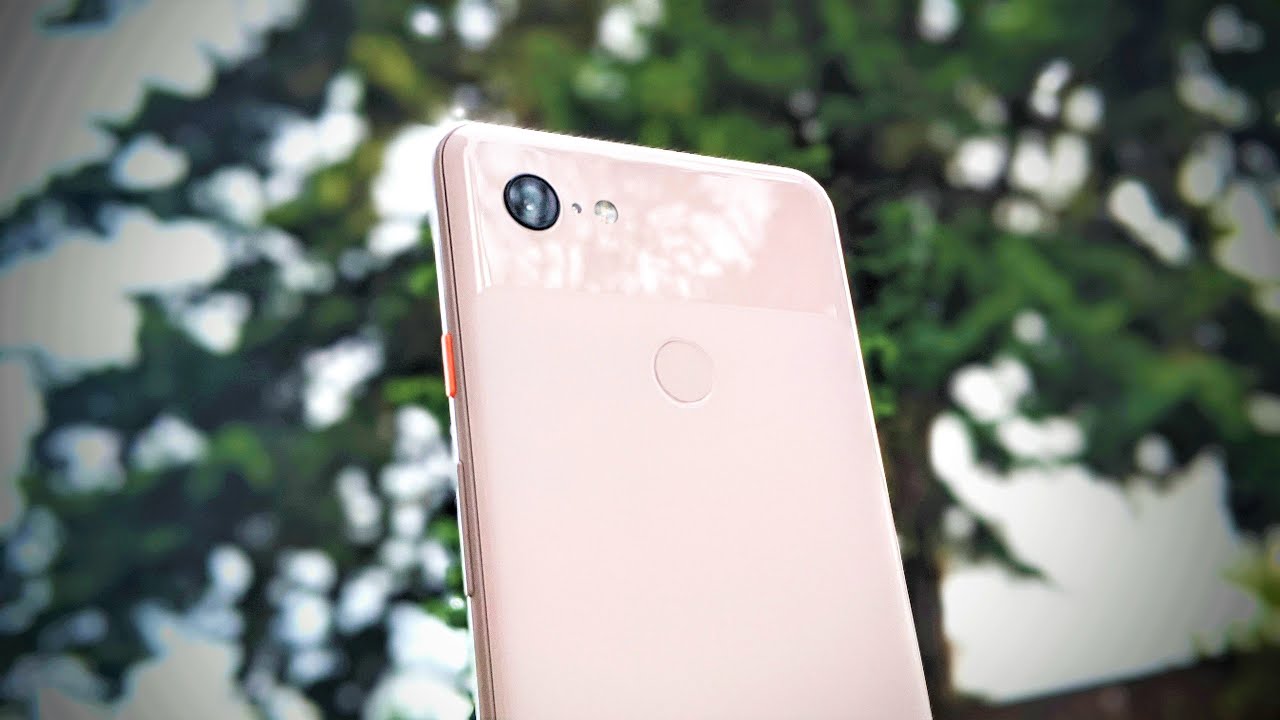 Pixel 3 XL Camera Review 2020!