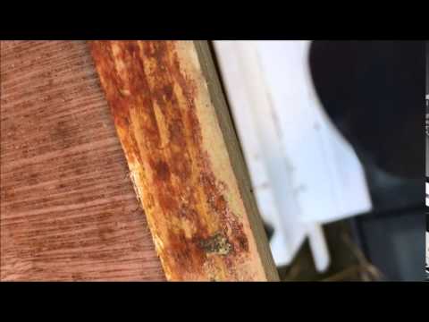 Scorching  In Action