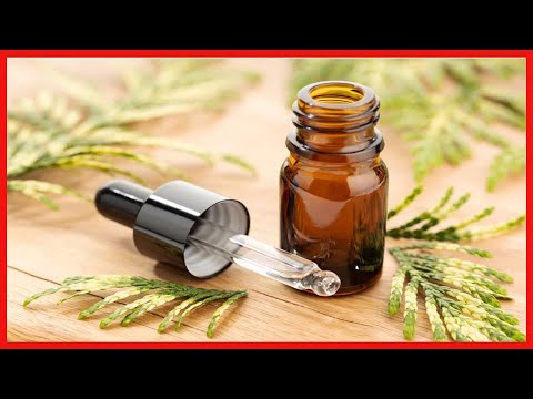 Natürliche Raumdüfte für dein Badezimmer