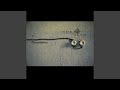 Shadow 2009 Remaster