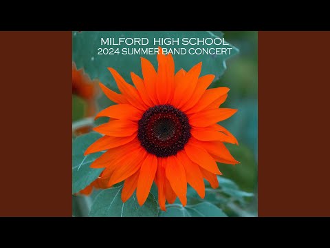 Mambo Perro Loco (Live)