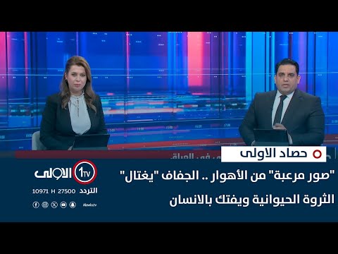 فيديو | "صور مرعبة" من الأهوار .. الجفاف "يغتال" الثروة الحيوانية ويفتك بالانسان