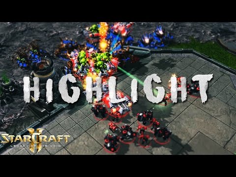 Starcraft II - You Can't Leave | Spotlights 24