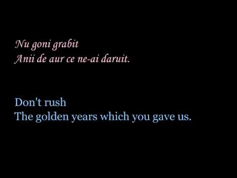 Ani de liceu Stela Enache Romanian lyrics & English translation
