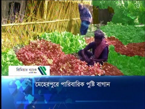 মেহেরপুরে পারিবারিক পুষ্টি বাগান
