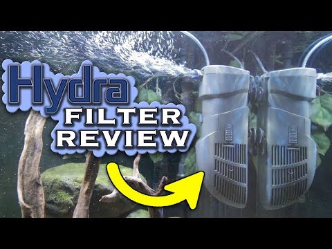 Watch Video on YouTube