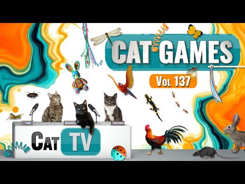 CAT Games | Ultimate Cat TV Compilation Vol 137 | 8 HOURS  🐝🐞🦋🦎🦜🐜🐭🧵