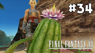【FF12 TZA】#34 ガリフ前 - 草原雨季〜山地｜やりこみ実況プレイ