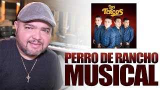 Perro De Rancho (Los Tercos) MUSICAL