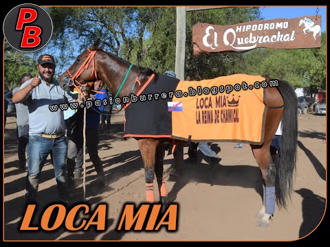 LOCA MIA - HIPODROMO EL QUEBRACHAL, CHAMICAL (24-10-2021)