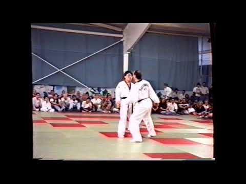 Kim Woo Kang Kim In Hyong Thomas Schneider zeigen Formen und Ein Schritt Kampf pds