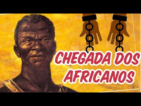 ARRIVAL OF AFRICANS, SLAVE TRAFFICKING, ZUMBI DOS PALMARES AND AFRO-BRAZILIAN CULTURE