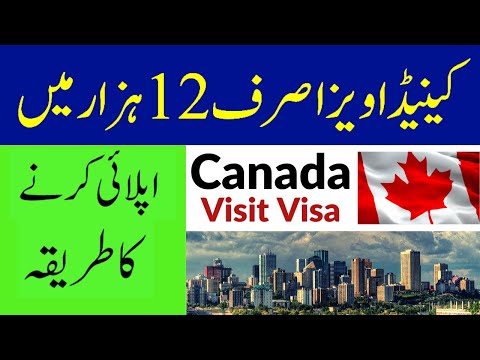 download lagu mp3 mp4 How Much For A Filling In Canada, download lagu How Much For A Filling In Canada gratis, unduh video klip How Much For A Filling In Canada