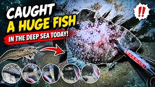 LIVE Caught a huge fish in the deep sea today! 25-8-2026 P2