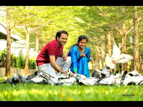 shiva kaspa making a wedding song