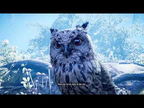 Becoming a beast master!