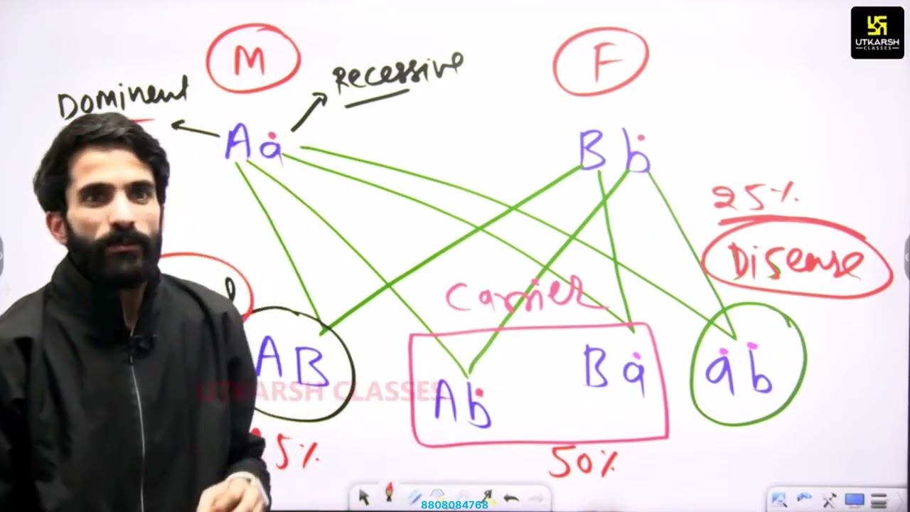 2.5 Blood and Blood Cells/msn
