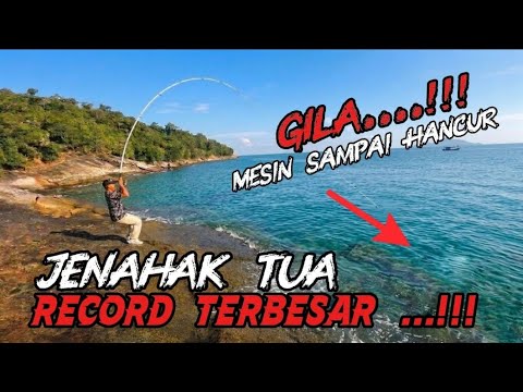 TERCIPTA SEJARAH DI PULAU RIMAU .STRIKE BERTUBI TUBI IKAN MAHAL.