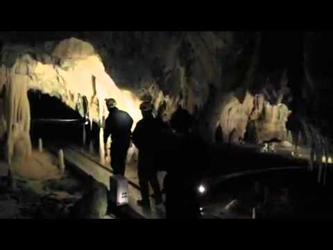 Cave of Forgotten Dreams OFFICIAL trailer