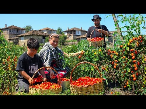 Relaxing Faraway Village - Life in the High Mountains - Rustic Village Cooking