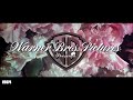 Warner Bros Logo History