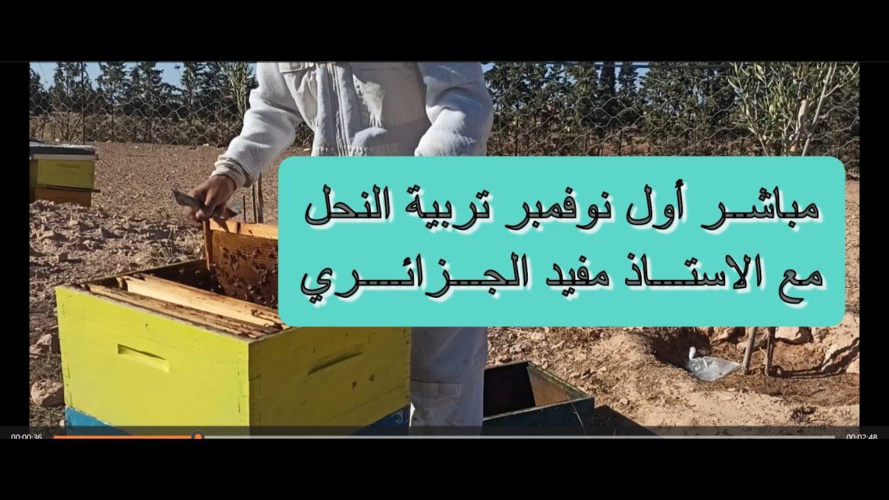 مباشر من الجزائر تربية النحل 2025/11/01