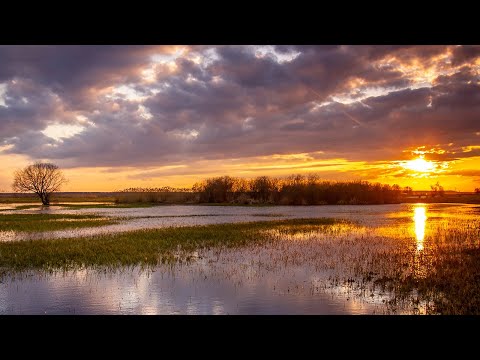 Czas na Podlaskie. W kontakcie z naturą | Dolina Biebrzy i Narwi