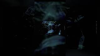 不気味な雰囲気のポエトリー #shorts #ナースロボ_タイプt #vocaloid