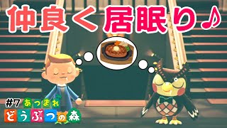 【あつもり実況】博物館がデカすぎる！記念にフータくんとお昼寝♪【あつまれ どうぶつの森/Animal Crossing】#7