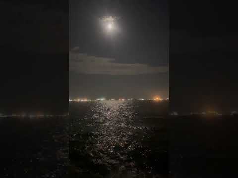 Chandani rat|| full moon#beach #song 🌝#safamoji😝