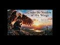 Under the Shadow of His Wings | Psalm 91:1–7 | Powerful Christian Worship Song