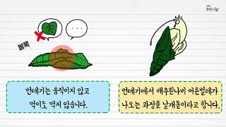 과학 3학년 1학기 3단원 5차시 영상(54-55p)