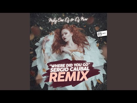 Where Did You Go (Sergio Caubal Remix)