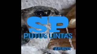 Download lagu SP PUTUS LINTAS.. SUDAH TERBUKTI.. SILAHKAN DI DOWNLOAD. mp3