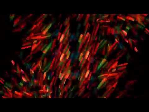 Club Visuals 219 - Free VJ Loop