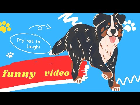 funny 🐶 dogs reactions part 3 in all subtitles|Sabeera smc funny videos 2023
