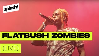 Flatbush Zombies live @ splash! 18