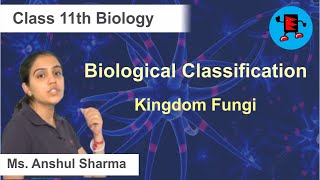 CBSE Class 11 Biology Biological Classification Kingdom Fungi |Extraminds