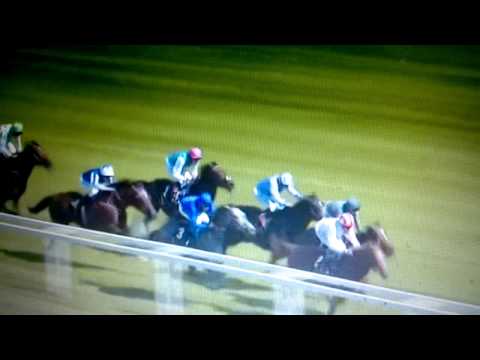 St. James Palace Stakes 2014 - Kingman(Narração em Português)