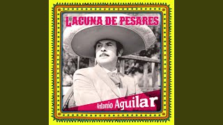 Si no me quieres no me martirices