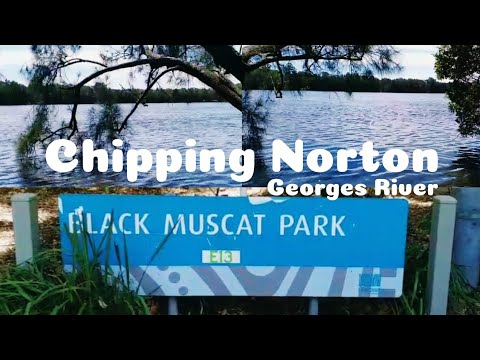 Black Muscat Park Chipping Norton NSW Australia