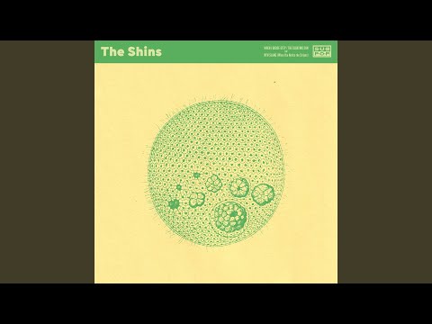 New Slang (When You Notice The Stripes)