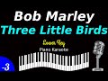 Bob Marley - Three Little Birds (Piano Karaoke) Lower Key
